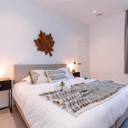 Luxurious In Town House Near The